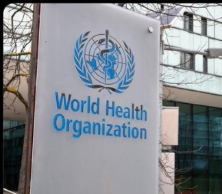 Screenshot 2021-10-31 053629