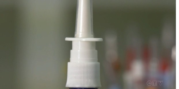 Screenshot 2021-10-31 055340