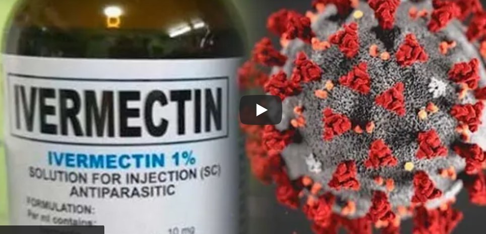 Screenshot 2021-10-31 063524