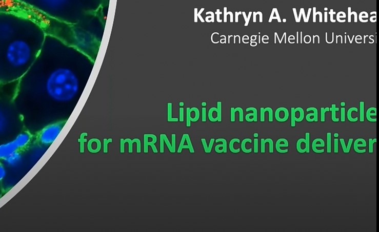 Screenshot 2021-11-03 014516