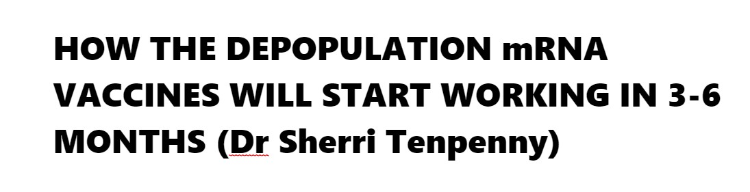 Screenshot 2021-11-03 023140